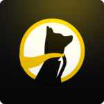 Promo Logo